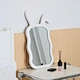 wall mirror